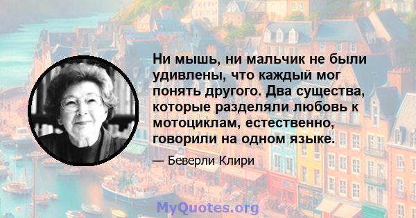 Ни мышь, ни мальчик не были удивлены, что каждый мог понять другого. Два существа, которые разделяли любовь к мотоциклам, естественно, говорили на одном языке.