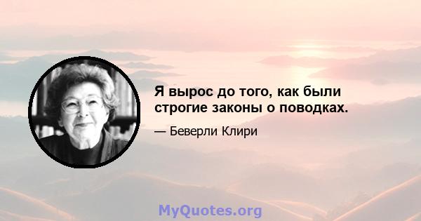 Я вырос до того, как были строгие законы о поводках.