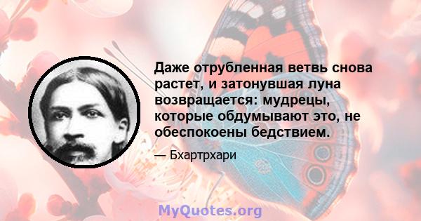 Даже отрубленная ветвь снова растет, и затонувшая луна возвращается: мудрецы, которые обдумывают это, не обеспокоены бедствием.