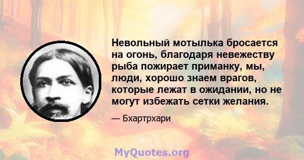 Невольный мотылька бросается на огонь, благодаря невежеству рыба пожирает приманку, мы, люди, хорошо знаем врагов, которые лежат в ожидании, но не могут избежать сетки желания.