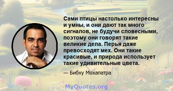 Сами птицы настолько интересны и умны, и они дают так много сигналов, не будучи словесными, поэтому они говорят такие великие дела. Перья даже превосходят мех. Они такие красивые, и природа использует такие удивительные 