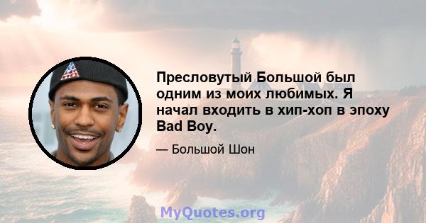 Пресловутый Большой был одним из моих любимых. Я начал входить в хип-хоп в эпоху Bad Boy.