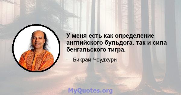 У меня есть как определение английского бульдога, так и сила бенгальского тигра.