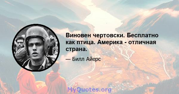 Виновен чертовски. Бесплатно как птица. Америка - отличная страна.