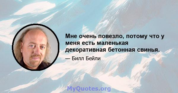 Мне очень повезло, потому что у меня есть маленькая декоративная бетонная свинья.