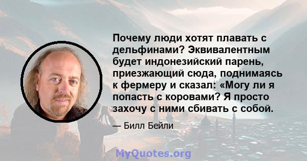 Почему люди хотят плавать с дельфинами? Эквивалентным будет индонезийский парень, приезжающий сюда, поднимаясь к фермеру и сказал: «Могу ли я попасть с коровами? Я просто захочу с ними сбивать с собой.