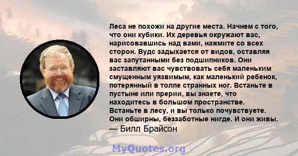 Леса не похожи на другие места. Начнем с того, что они кубики. Их деревья окружают вас, нарисовавшись над вами, нажмите со всех сторон. Вудс задыхается от видов, оставляя вас запутанными без подшипников. Они заставляют