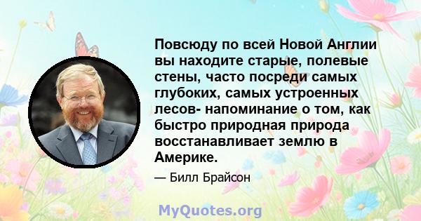 Повсюду по всей Новой Англии вы находите старые, полевые стены, часто посреди самых глубоких, самых устроенных лесов- напоминание о том, как быстро природная природа восстанавливает землю в Америке.