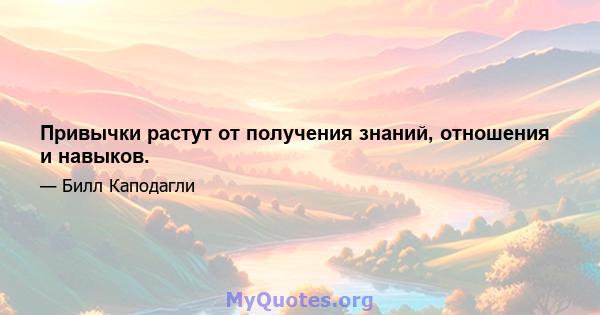 Привычки растут от получения знаний, отношения и навыков.