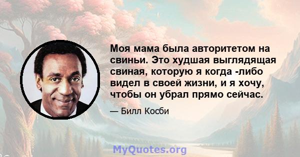 Моя мама была авторитетом на свиньи. Это худшая выглядящая свиная, которую я когда -либо видел в своей жизни, и я хочу, чтобы он убрал прямо сейчас.