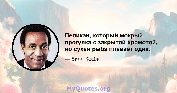 Пеликан, который мокрый прогулка с закрытой хромотой, но сухая рыба плавает одна.