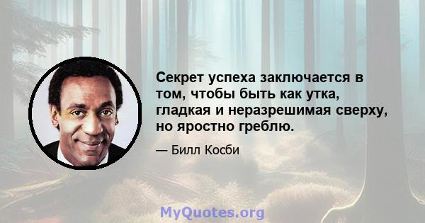 Секрет успеха заключается в том, чтобы быть как утка, гладкая и неразрешимая сверху, но яростно греблю.