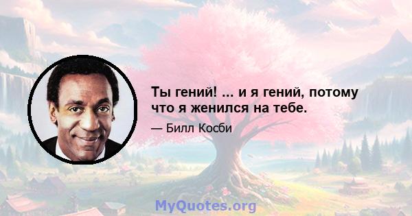 Ты гений! ... и я гений, потому что я женился на тебе.