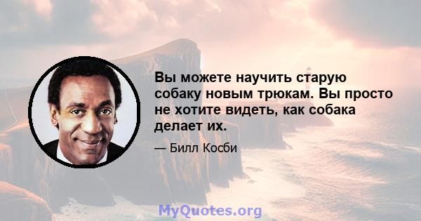 Вы можете научить старую собаку новым трюкам. Вы просто не хотите видеть, как собака делает их.