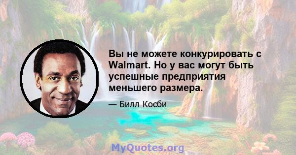 Вы не можете конкурировать с Walmart. Но у вас могут быть успешные предприятия меньшего размера.