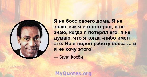 Я не босс своего дома. Я не знаю, как я его потерял, я не знаю, когда я потерял его, я не думаю, что я когда -либо имел это. Но я видел работу босса ... и я не хочу этого!