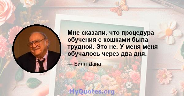 Мне сказали, что процедура обучения с кошками была трудной. Это не. У меня меня обучалось через два дня.