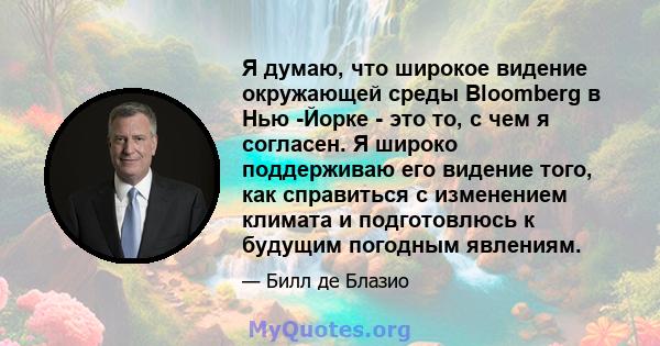 Я думаю, что широкое видение окружающей среды Bloomberg в Нью -Йорке - это то, с чем я согласен. Я широко поддерживаю его видение того, как справиться с изменением климата и подготовлюсь к будущим погодным явлениям.