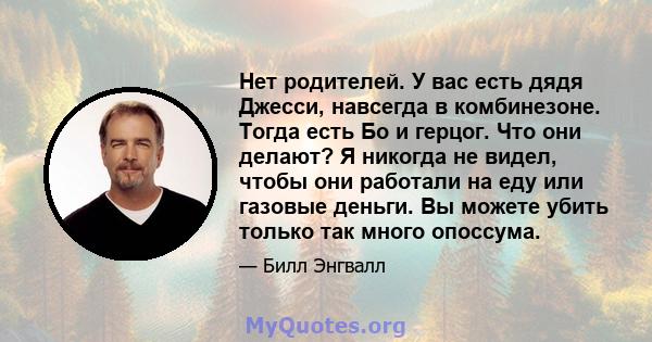 Нет родителей. У вас есть дядя Джесси, навсегда в комбинезоне. Тогда есть Бо и герцог. Что они делают? Я никогда не видел, чтобы они работали на еду или газовые деньги. Вы можете убить только так много опоссума.