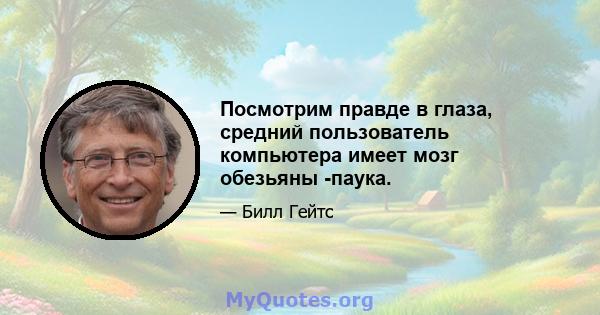 Посмотрим правде в глаза, средний пользователь компьютера имеет мозг обезьяны -паука.