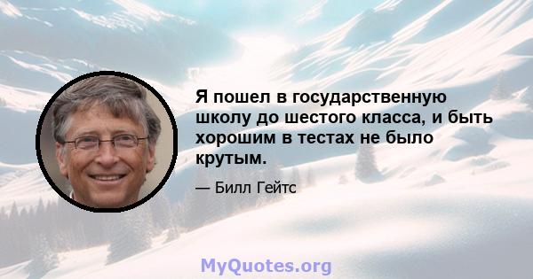 Я пошел в государственную школу до шестого класса, и быть хорошим в тестах не было крутым.