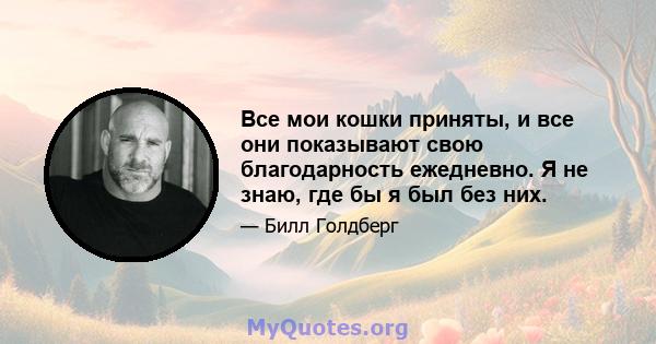 Все мои кошки приняты, и все они показывают свою благодарность ежедневно. Я не знаю, где бы я был без них.