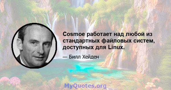 Cosmoe работает над любой из стандартных файловых систем, доступных для Linux.