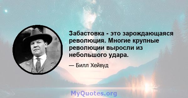 Забастовка - это зарождающаяся революция. Многие крупные революции выросли из небольшого удара.