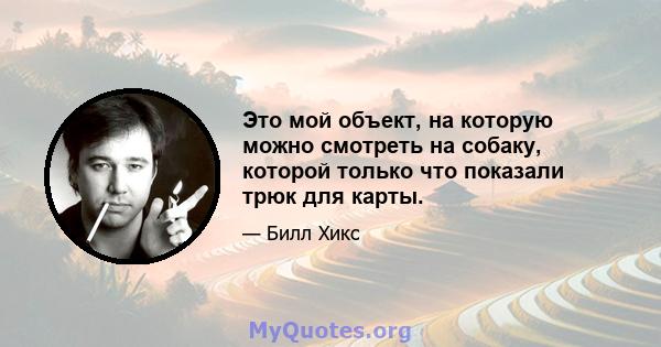 Это мой объект, на которую можно смотреть на собаку, которой только что показали трюк для карты.