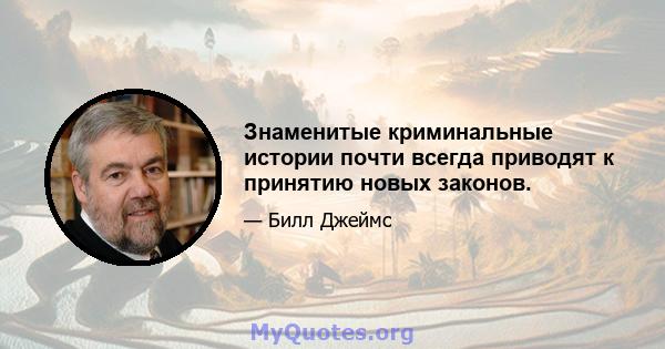 Знаменитые криминальные истории почти всегда приводят к принятию новых законов.