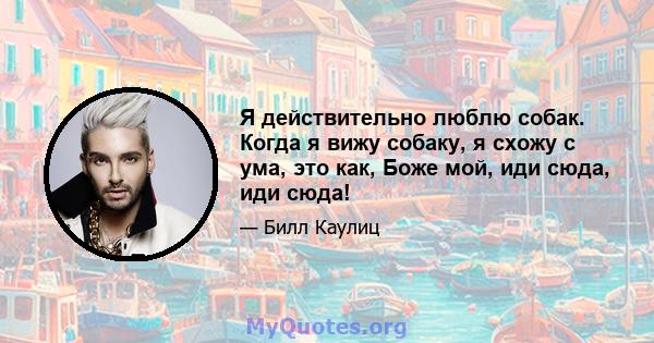 Я действительно люблю собак. Когда я вижу собаку, я схожу с ума, это как, Боже мой, иди сюда, иди сюда!