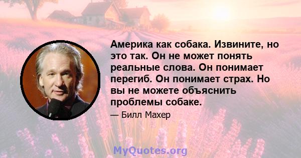 Америка как собака. Извините, но это так. Он не может понять реальные слова. Он понимает перегиб. Он понимает страх. Но вы не можете объяснить проблемы собаке.