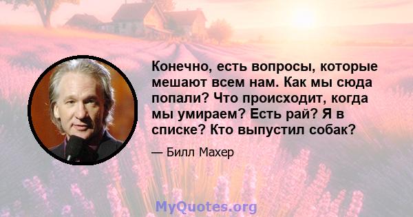 Конечно, есть вопросы, которые мешают всем нам. Как мы сюда попали? Что происходит, когда мы умираем? Есть рай? Я в списке? Кто выпустил собак?