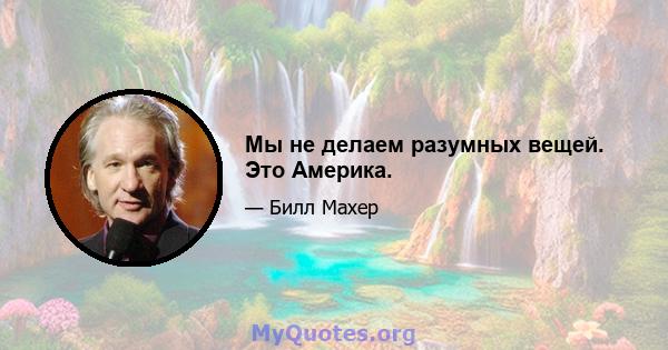 Мы не делаем разумных вещей. Это Америка.