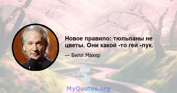 Новое правило: тюльпаны не цветы. Они какой -то гей -лук.