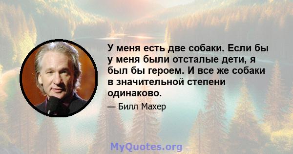 У меня есть две собаки. Если бы у меня были отсталые дети, я был бы героем. И все же собаки в значительной степени одинаково.