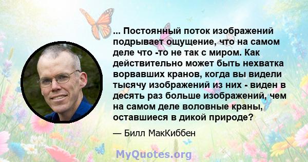 ... Постоянный поток изображений подрывает ощущение, что на самом деле что -то не так с миром. Как действительно может быть нехватка ворвавших кранов, когда вы видели тысячу изображений из них - виден в десять раз