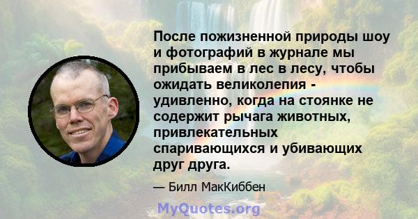 После пожизненной природы шоу и фотографий в журнале мы прибываем в лес в лесу, чтобы ожидать великолепия - удивленно, когда на стоянке не содержит рычага животных, привлекательных спаривающихся и убивающих друг друга.