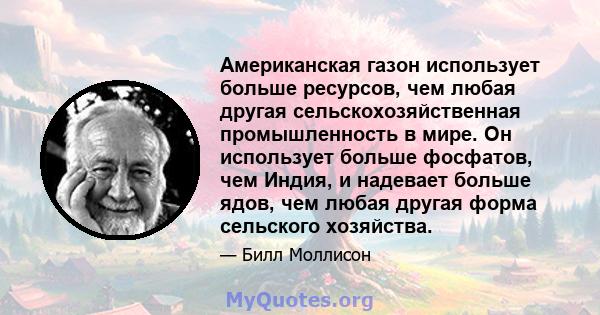 Американская газон использует больше ресурсов, чем любая другая сельскохозяйственная промышленность в мире. Он использует больше фосфатов, чем Индия, и надевает больше ядов, чем любая другая форма сельского хозяйства.