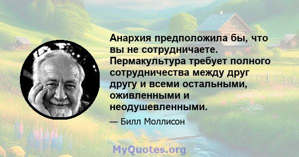 Анархия предположила бы, что вы не сотрудничаете. Пермакультура требует полного сотрудничества между друг другу и всеми остальными, оживленными и неодушевленными.