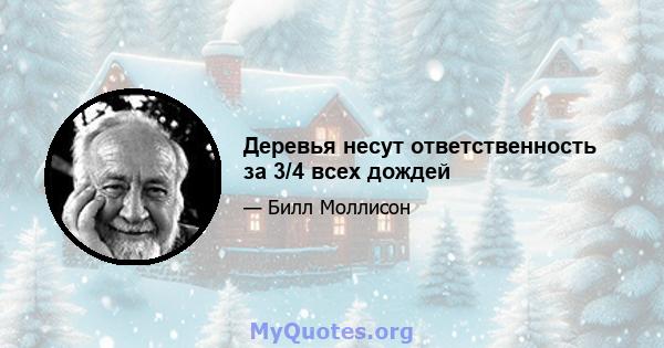 Деревья несут ответственность за 3/4 всех дождей