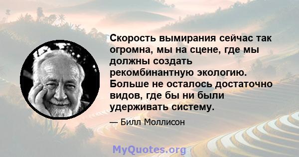 Скорость вымирания сейчас так огромна, мы на сцене, где мы должны создать рекомбинантную экологию. Больше не осталось достаточно видов, где бы ни были удерживать систему.