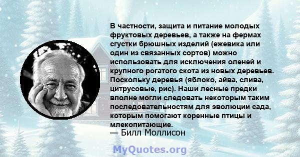 В частности, защита и питание молодых фруктовых деревьев, а также на фермах сгустки брюшных изделий (ежевика или один из связанных сортов) можно использовать для исключения оленей и крупного рогатого скота из новых