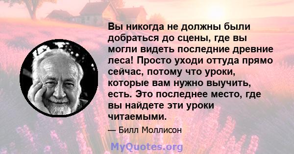 Вы никогда не должны были добраться до сцены, где вы могли видеть последние древние леса! Просто уходи оттуда прямо сейчас, потому что уроки, которые вам нужно выучить, есть. Это последнее место, где вы найдете эти