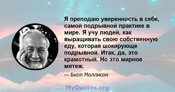 Я преподаю уверенность в себе, самой подрывной практике в мире. Я учу людей, как выращивать свою собственную еду, которая шокирующе подрывной. Итак, да, это крамотный. Но это мирное мятеж.