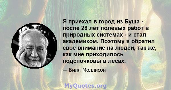 Я приехал в город из Буша - после 28 лет полевых работ в природных системах - и стал академиком. Поэтому я обратил свое внимание на людей, так же, как мне приходилось подспочковы в лесах.