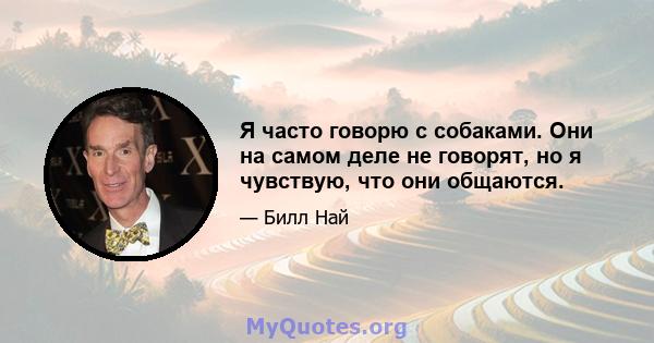 Я часто говорю с собаками. Они на самом деле не говорят, но я чувствую, что они общаются.