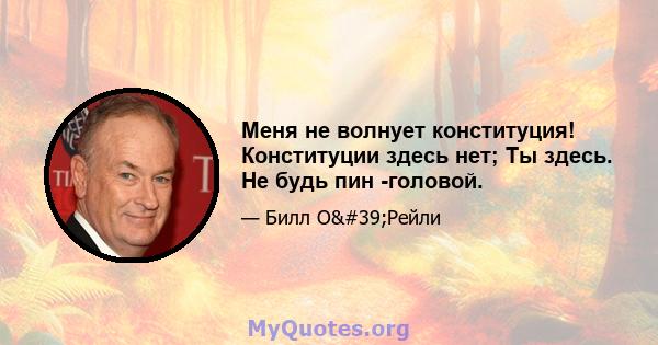 Меня не волнует конституция! Конституции здесь нет; Ты здесь. Не будь пин -головой.