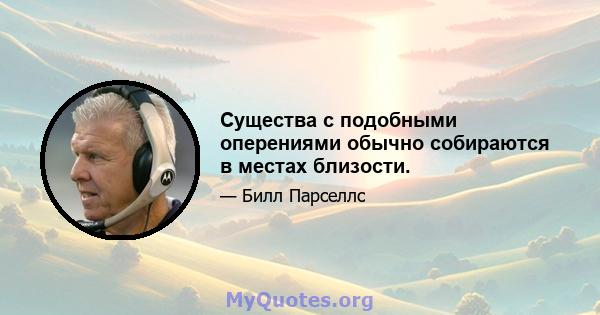 Существа с подобными оперениями обычно собираются в местах близости.