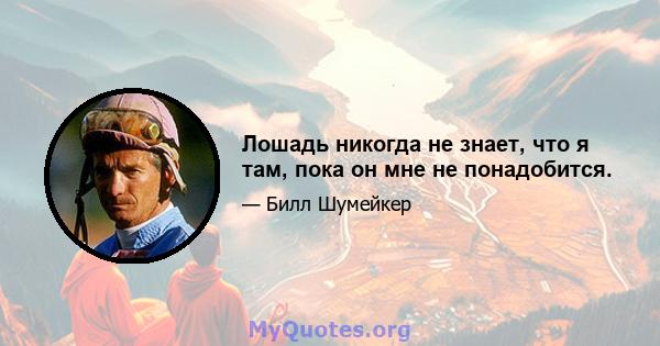 Лошадь никогда не знает, что я там, пока он мне не понадобится.